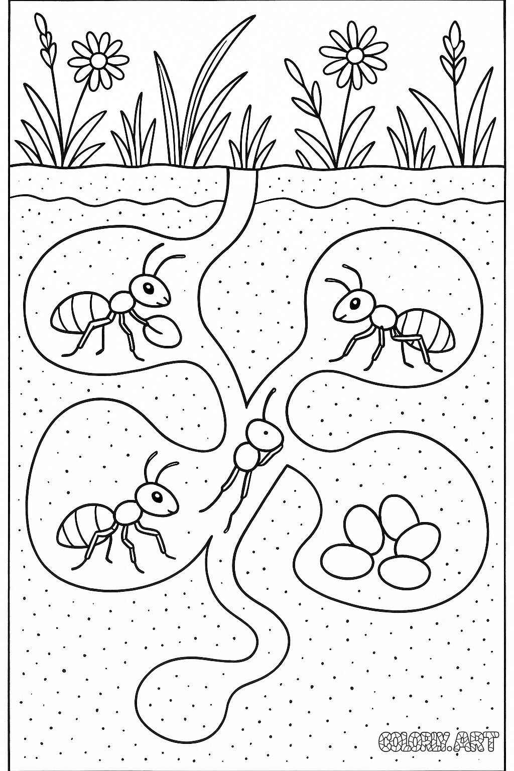 Ant Tunnel Maze Coloring Book Page Colorly.art