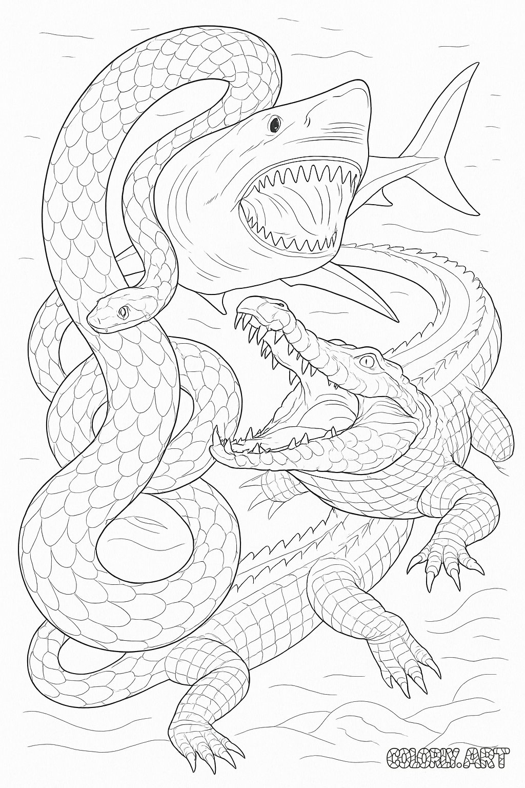 Aquatic Creature Showdown  shark alligator croc and snake battleColoring Book Page Colorly.art
