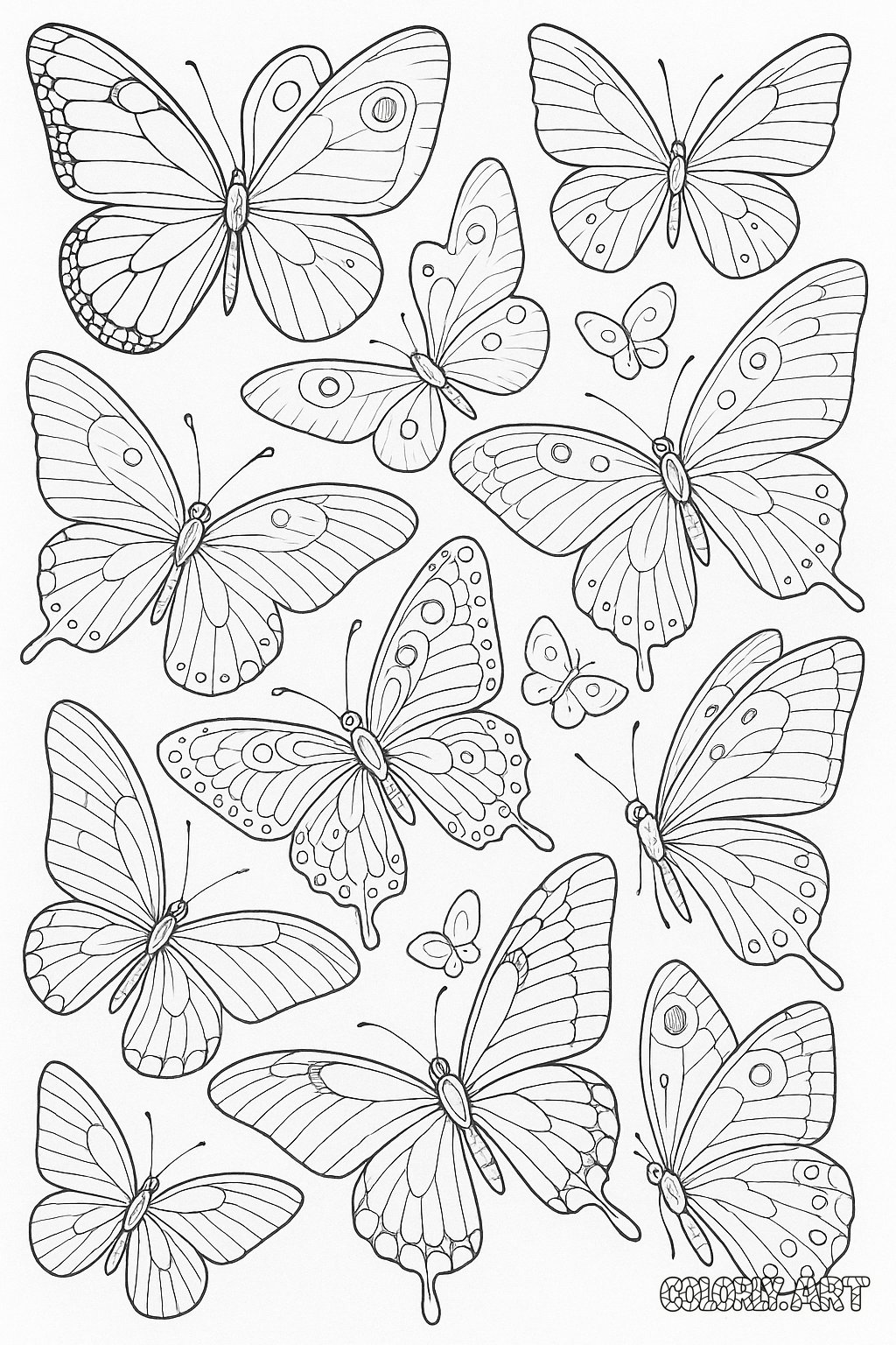 Butterflies in Flight Coloring Book Page Colorly.art