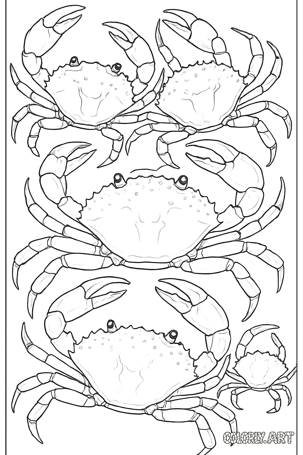 Crabs Coloring Page Coloring Book Page Colorly.art V2 