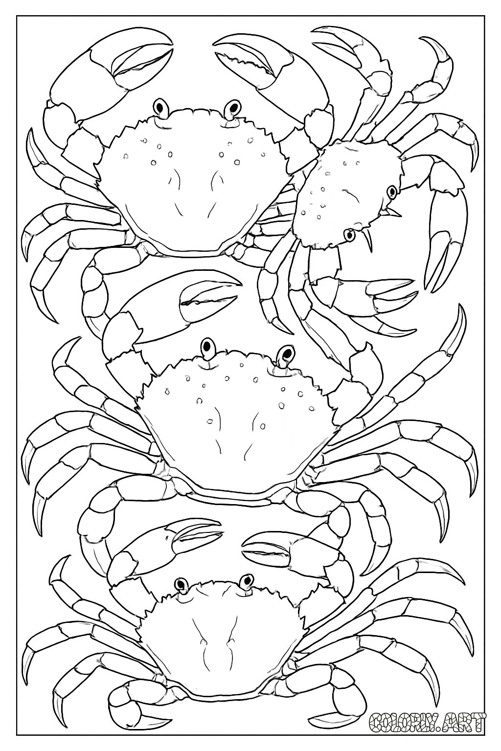 Crabs Coloring Page Coloring Book Page Colorly.art