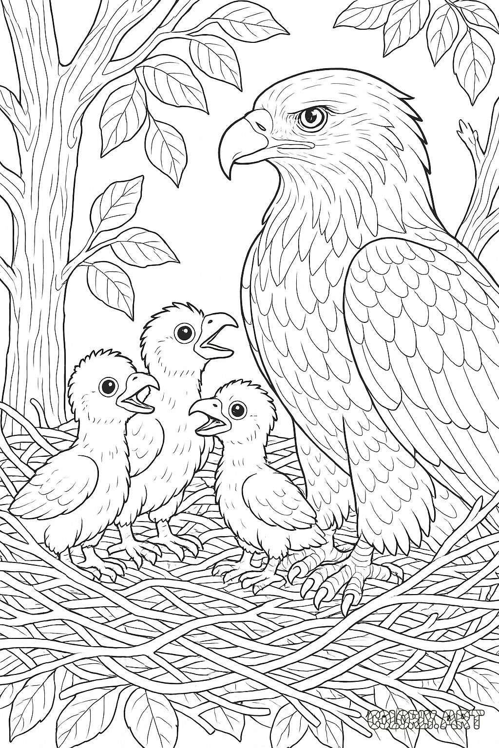 Eagle Family Nest Coloring Book Page Colorly.art V2 