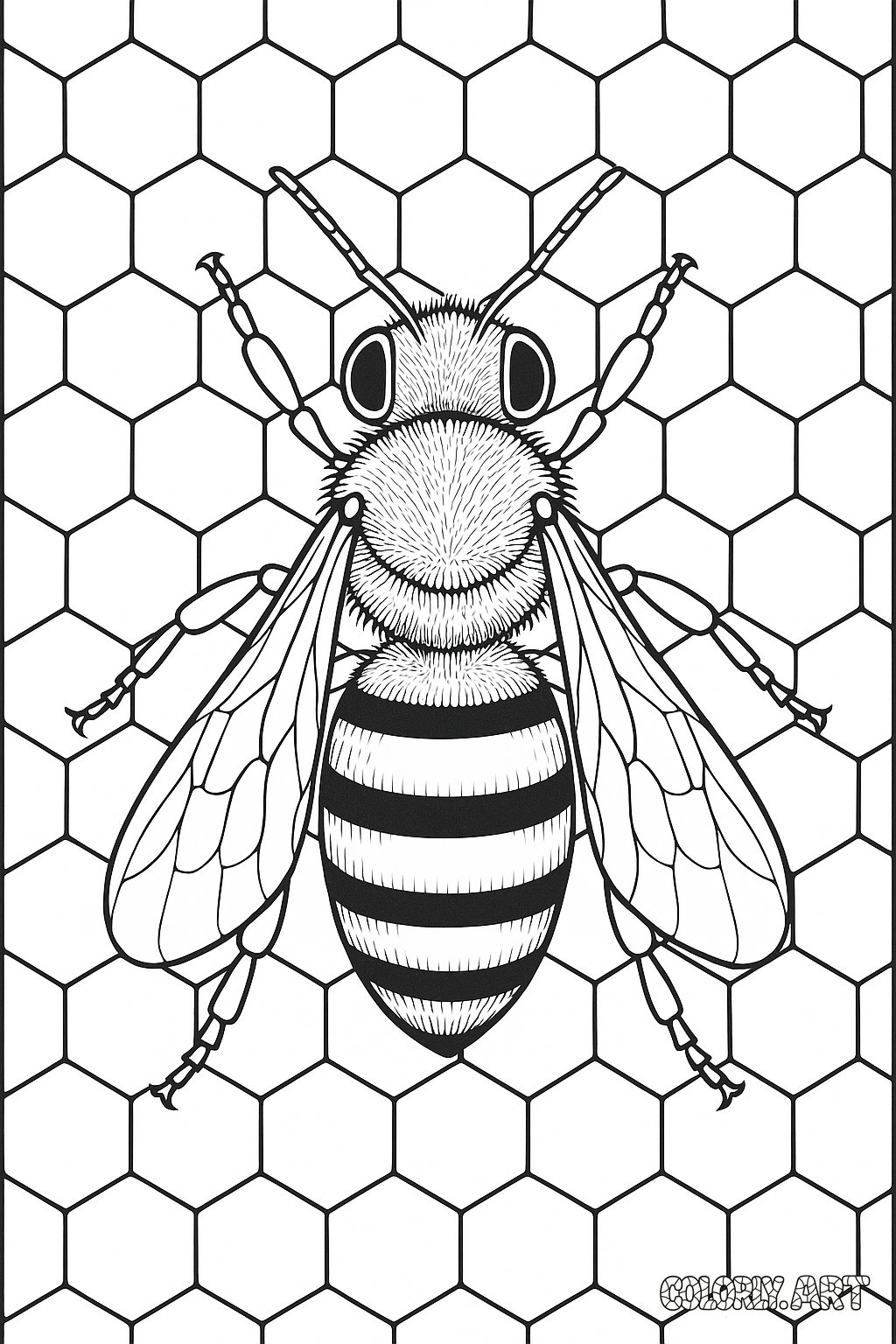 Honey Bee Comb Coloring Book Page Colorly.art V2 