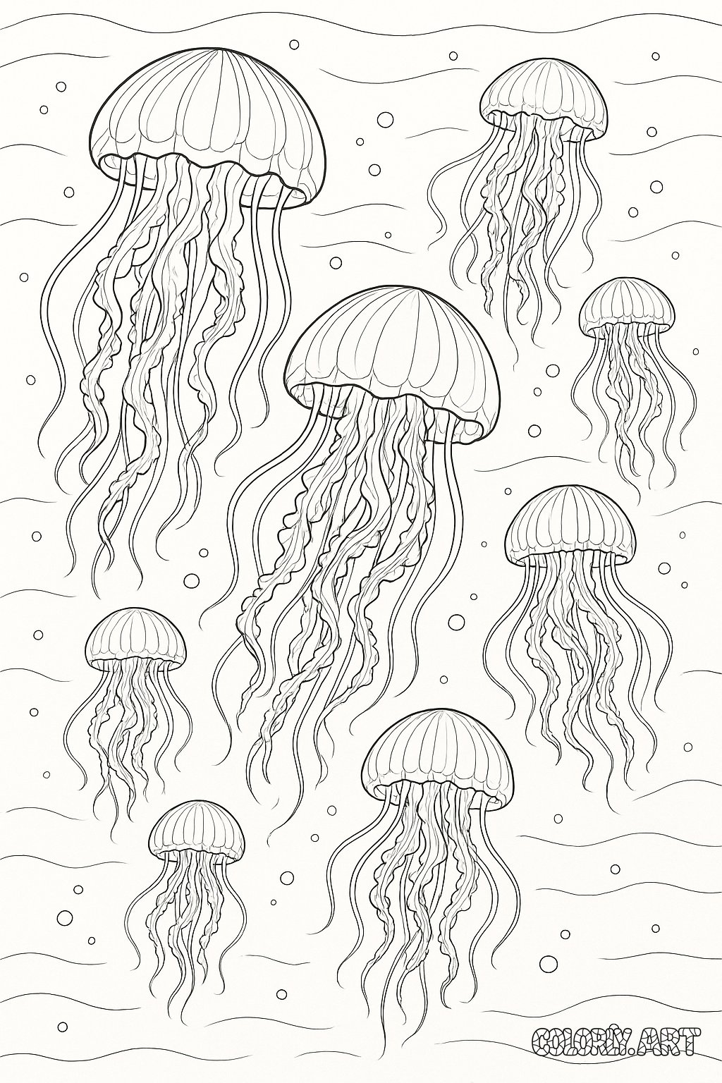 Jellyfish Coloring Page Coloring Book Page Colorly.art V2 