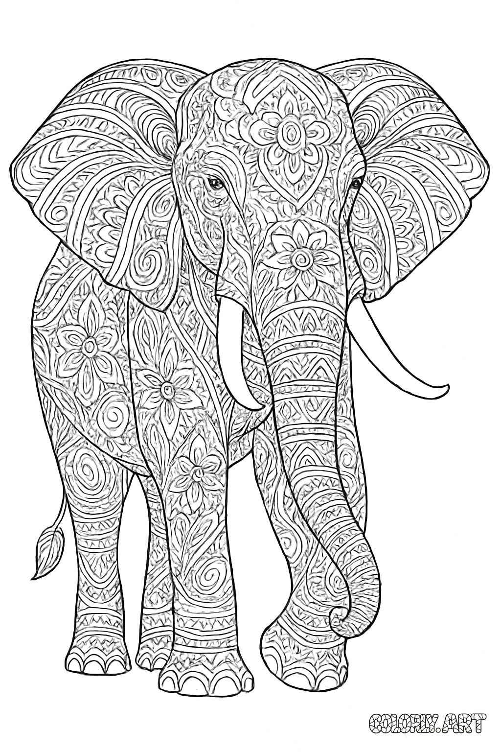 Patterned Elephant Coloring Book Page Colorly.art