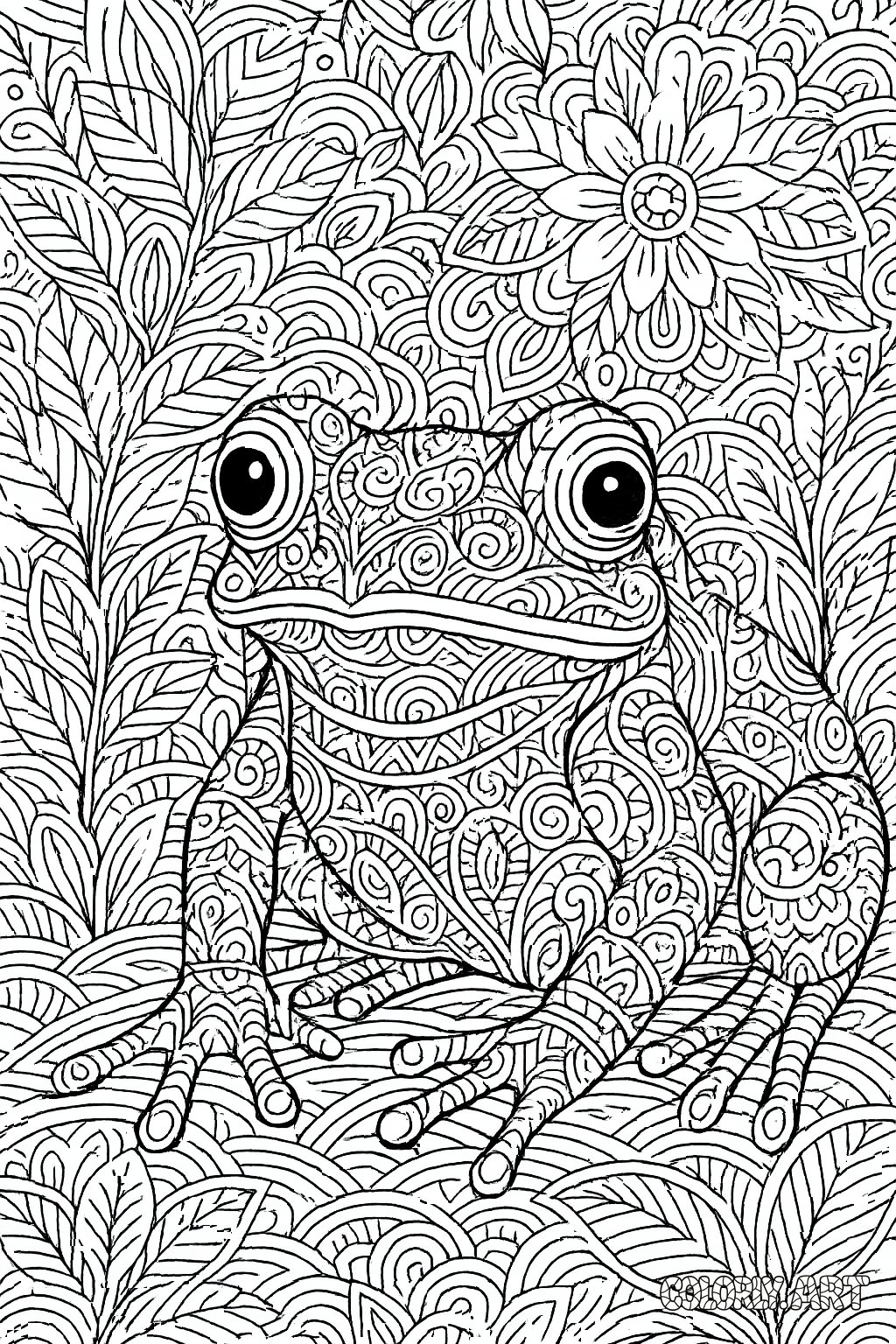 Patterned Frog Coloring Book Page Colorly.art