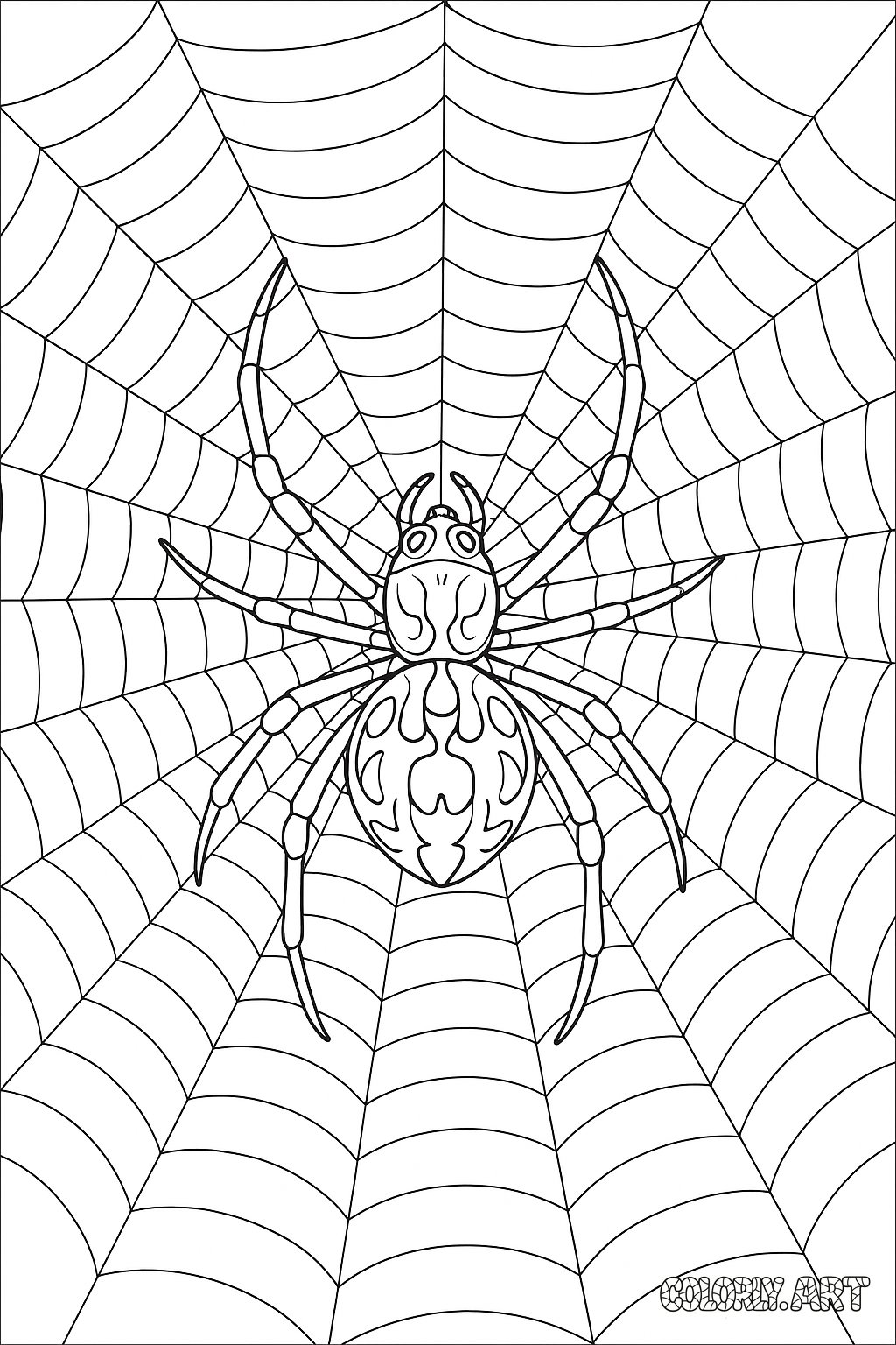 Spider and Web Coloring Book Page Colorly.art V2 