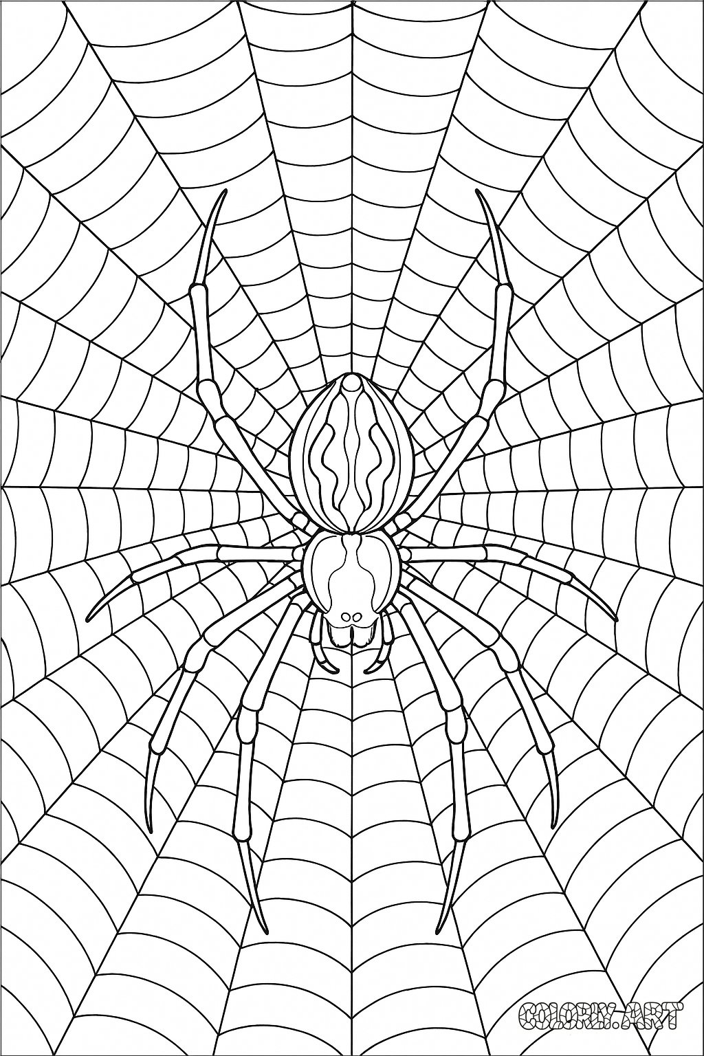 Spider and Web Coloring Book Page Colorly.art