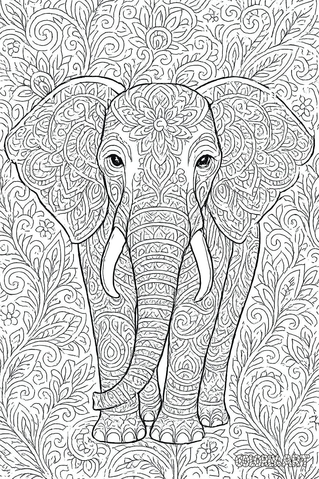Stylish Elephant Coloring Book Page Colorly.art V2 