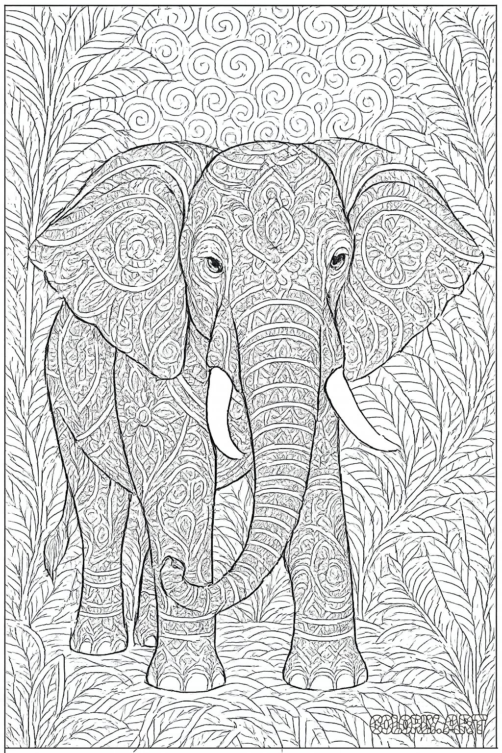 Stylish Elephant Coloring Book Page Colorly.art