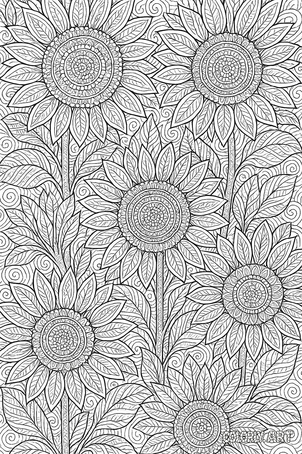 Sunflower Coloring Pattern Coloring Book Page Colorly.art