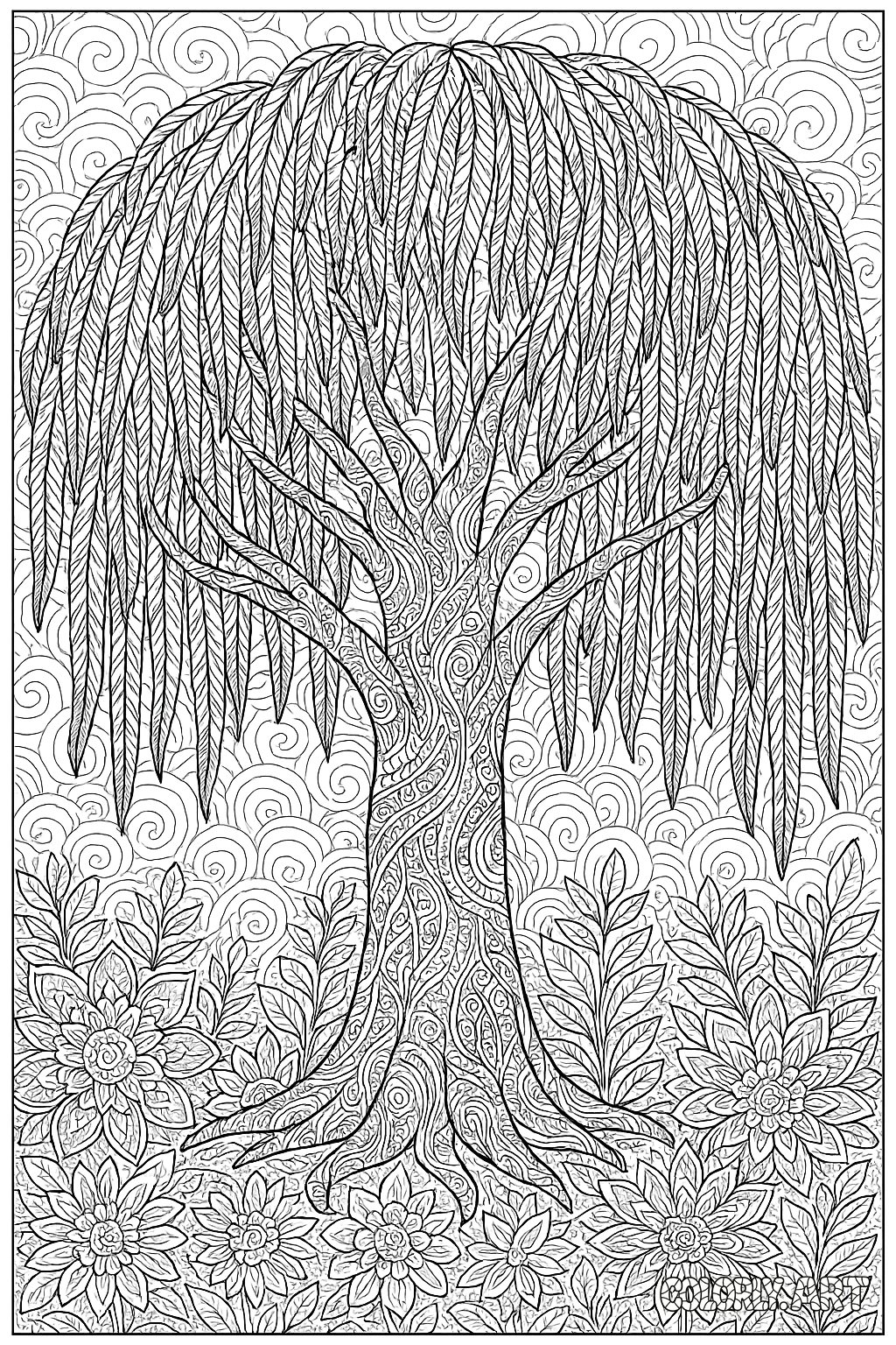 Willow Tree Pattern Coloring Book Page Colorly.art